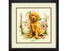 stickpackung golden retriever in luie stoel