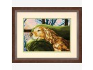 halber kreuzstichpackung golden retriever rust uit…