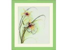 stickpackung jan kooistra, "orchidee" 