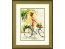 stickpackung willem haenraets, op de fiets