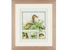 stickpackung marjolein bastin, eend met kuikens 