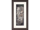 stickpackung olifant met jong