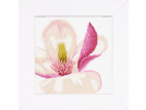 stickpackung magnolia-3