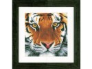 stickpackung tijger close-up