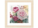 stickpackung rose roos