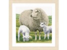 stickpackung schaap met lammetjes