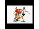 stickpackung voetballen