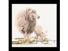 stickpackung schaap met lam