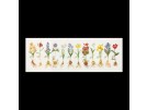 stickpackung voorjaarsbloemen