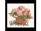 stickpackung hortensia rose