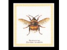 stickpackung aardhommel