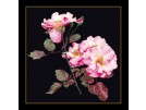 stickpackung rosa leersum op zwart