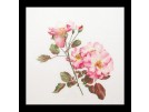 stickpackung rosa leersum