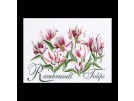 stickpackung rembrandttulpen