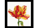 stickpackung tulp-6