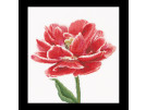 stickpackung tulp-7