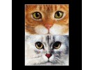 stickpackung cats, tiger&kitty