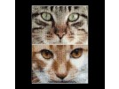 stickpackung cats, tess&simba