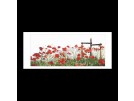 stickpackung papavers rood 