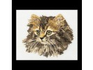 stickpackung langharige poes