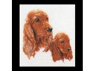 stickpackung spaniel en puppy