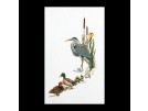 stickpackung reiger