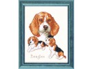 stickpackung beagles