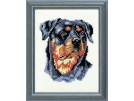 stickpackung rottweiler