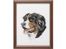 stickpackung berner senner