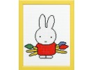 stickpackung dick bruna, nijntje met penselen