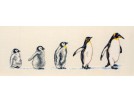 stickpackung pinquins "van klein naar groot"