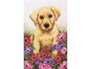 stickpackung labradorpup