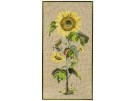 stickpackung zonnebloem