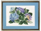 stickpackung hortensia's