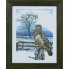 stickpackung buizerd in wintersfeer