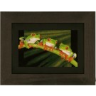 stickpackung boomkikker trio op tak