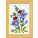 stickpackung blauwe klokjesbloem met lieveheersbeestjes