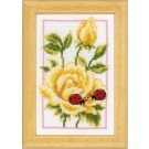 stickpackung gele rozen met lieveheersbeestjes