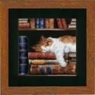 stickpackung poes in de boekenkast