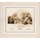 stickpackung geburt jack