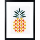 stickpackung abstract, ananas
