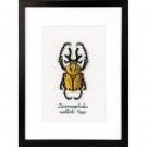 stickpackung insecten, gouden kever