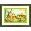 stickpackung herten in zomersfeer