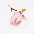 stickpackung magnolia-1