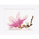 stickpackung magnolia-2