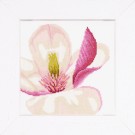 stickpackung magnolia-3
