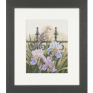 stickpackung achtertuin met duif