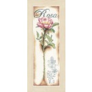 stickpackung rose roos