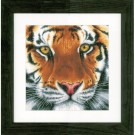 stickpackung tijger close-up