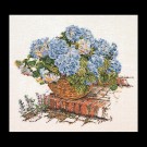 stickpackung hortensia blauw